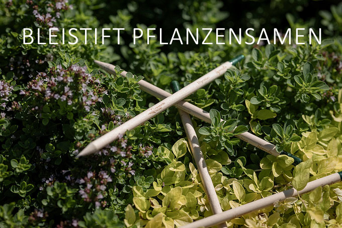 Bleistift mit Pflanzensamen