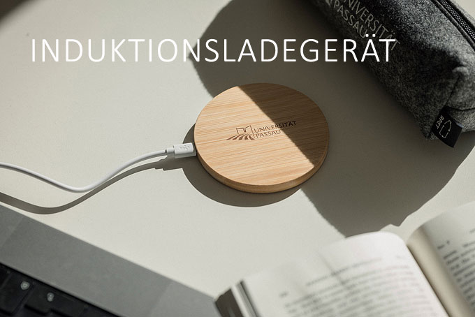 Induktionsladeger&auml;t Handy